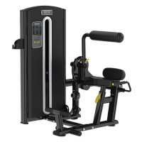 Разгибание спины Bronze Gym M05-009