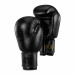 Боксерские перчатки Green Hill TIGER BLACK BGT-10697RU чёрный 75_75