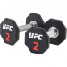 Premium уретановые гантели 2kg (пара) UFC UFC-DBPU-8305 75_75