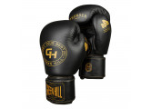 Боксерские перчатки Green Hill THUNDER THBGSP-00 чёрный