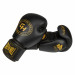 Боксерские перчатки Green Hill THUNDER THBGSP-00 чёрный 75_75
