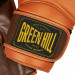 Боксерские перчатки Green Hill STRIKER THBGTR-23 коричневый 75_75