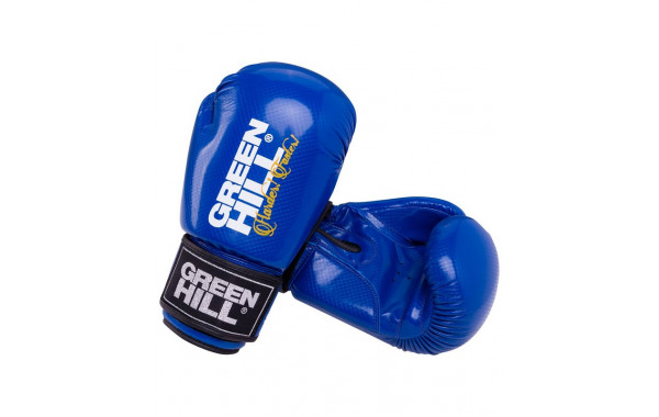 Перчатки боксерские Green Hill Panther 10 oz, к/з BGP-2098 синий 600_380