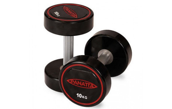 Уретановая гантель 40 кг Panatta 1RD40 600_380