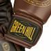 Боксерские перчатки Green Hill THUNDER THBGSP-12 коричневый\тёмно-коричневый 75_75