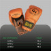 Боксерские перчатки Green Hill STRIKER THBGTR-23 коричневый 75_75