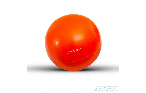 Мяч для пилатес 2кг SkyFit SF-BP-2K 600_380