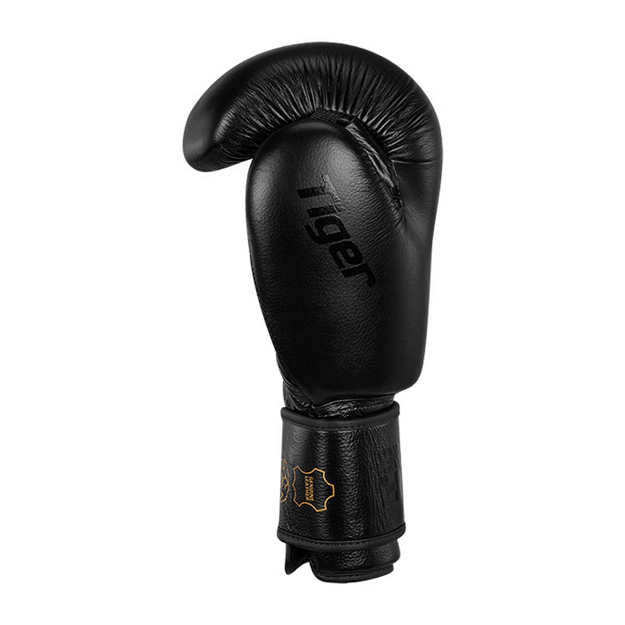 Боксерские перчатки Green Hill TIGER BLACK BGT-10697RU чёрный 2000_2000