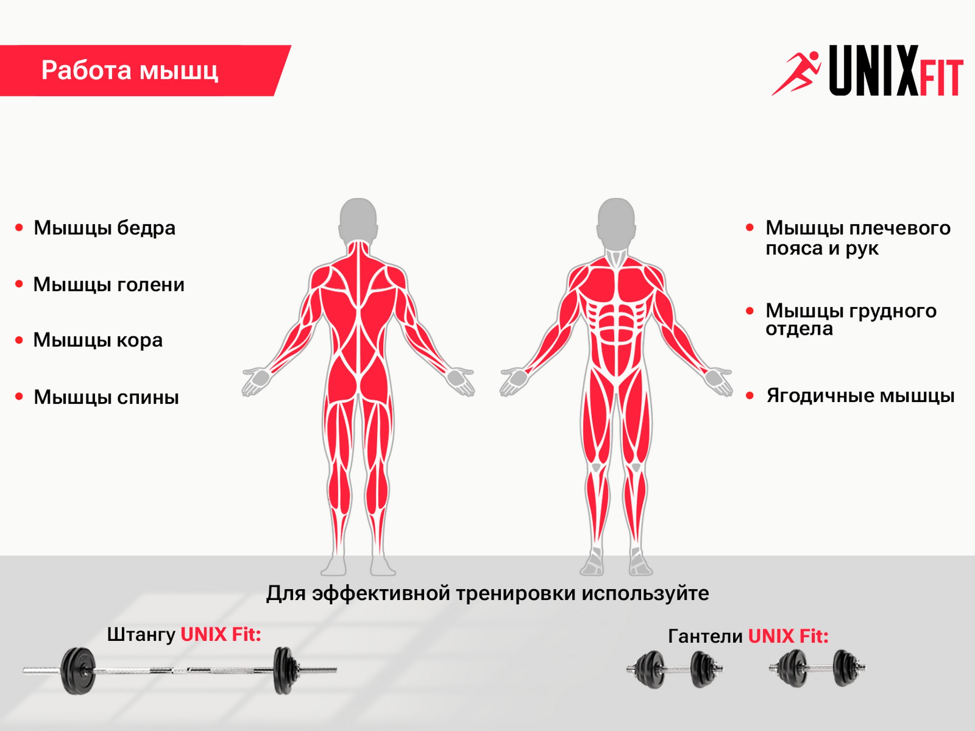 Скамья силовая со стойками UnixFit BENCH 120 BSBN120 2000_1500