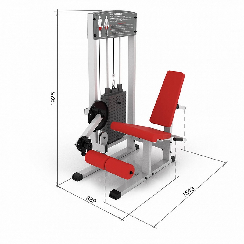 Разгибание ног сидя Iron King IK 05 800_800