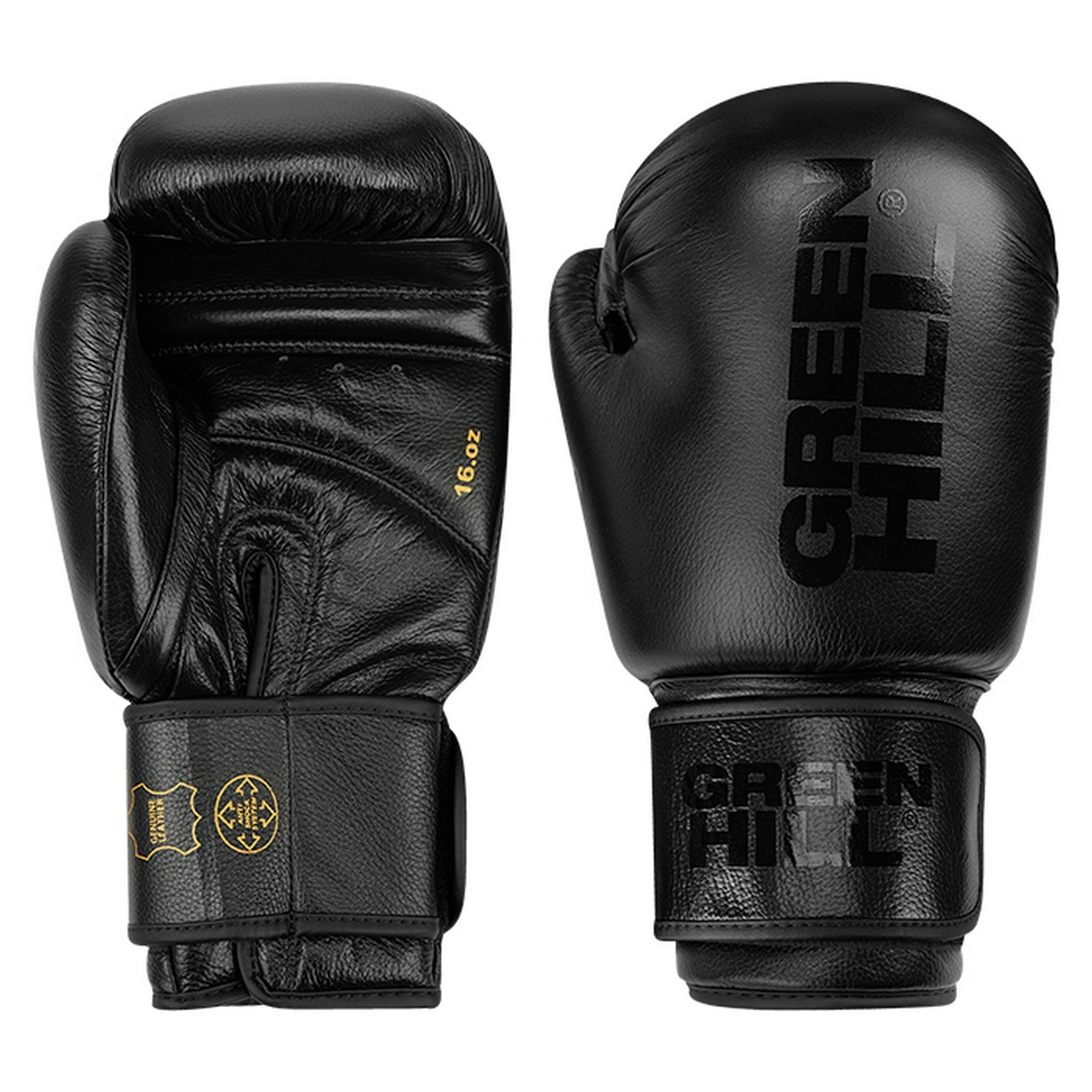 Боксерские перчатки Green Hill TIGER BLACK BGT-10697RU чёрный 2000_2000