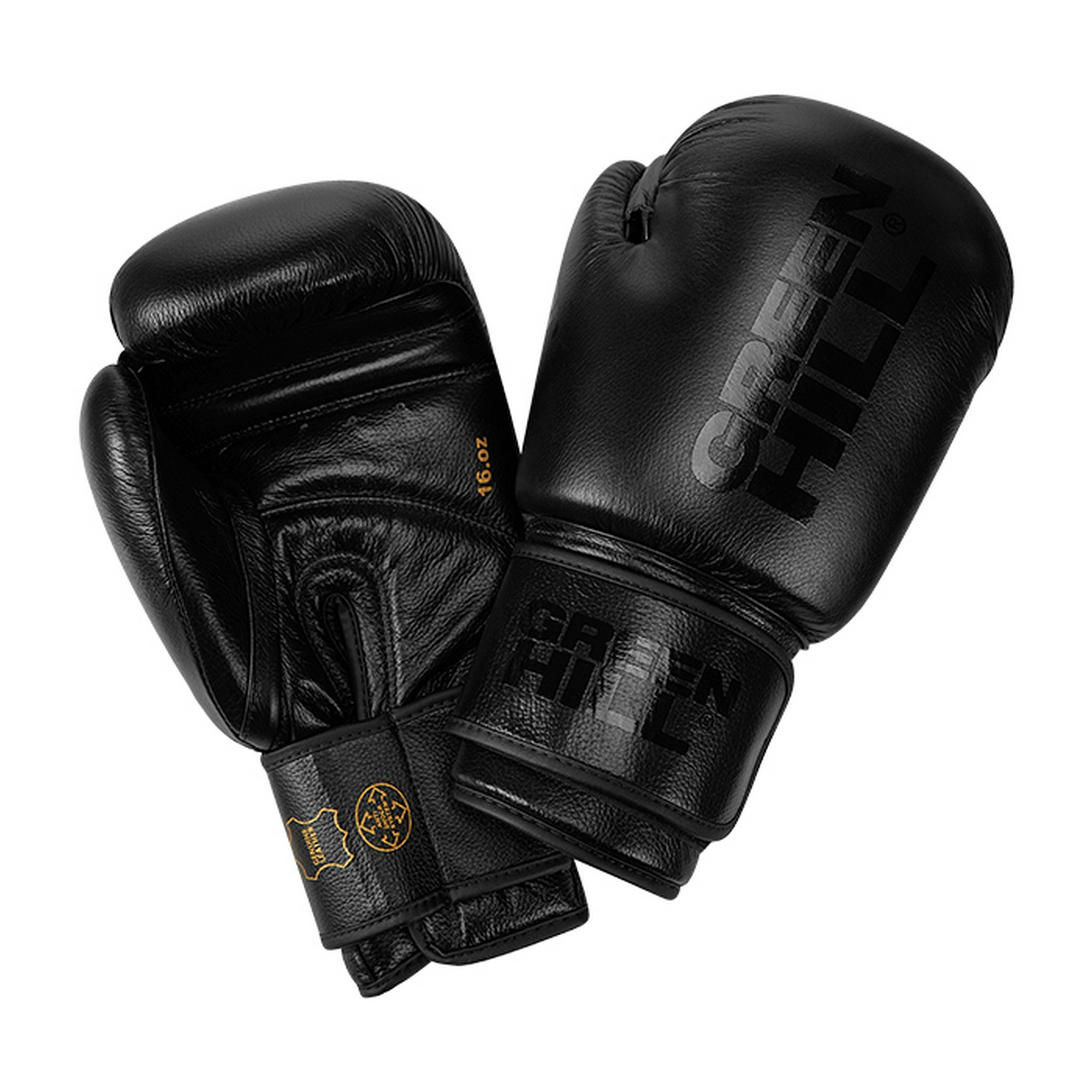 Боксерские перчатки Green Hill TIGER BLACK BGT-10697RU чёрный 2000_2000