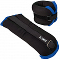 Утяжелители (2х0,3кг) Sportex ALT Sport нейлон, в сумке HKAW101-A черный с синий окантовкой 120_120