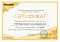 Сертификат на товар Будо-мат Kampfer №2